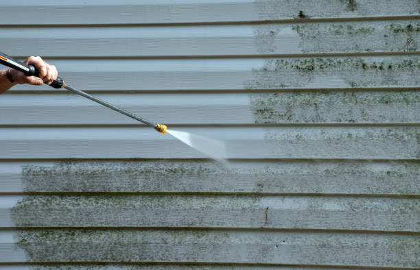 Best Residential Mold Remediation in Cosmopolis, WA